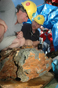 Image of SMS (seafloor massive sulphide) found at Suzette field, Papua New Guinea (photo courtesy of Nautilus Minerals, Inc.)